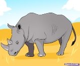 http://cdn.imgs.tuts.dragoart.com/how-to-draw-a-rhino_1_000000007680_5.jpg
