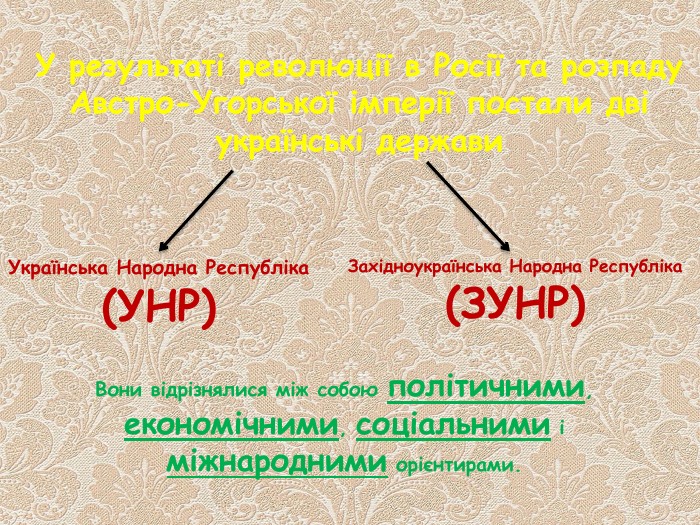 У результаті революції в Росії та розпаду Австро-Угорської імперії постали дві українські держави. Українська Народна Республіка(УНР)Західноукраїнська Народна Республіка(ЗУНР)Вони відрізнялися між собою політичними, економічними, соціальними і міжнародними орієнтирами.