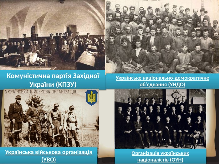 Комуністична партія Західної України (КПЗУ)Українське національно-демократичне об’єднання (УНДО)Українська військова організація (УВО)Організація українських націоналістів (ОУН)