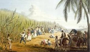 Картинки по запросу рабство в сша