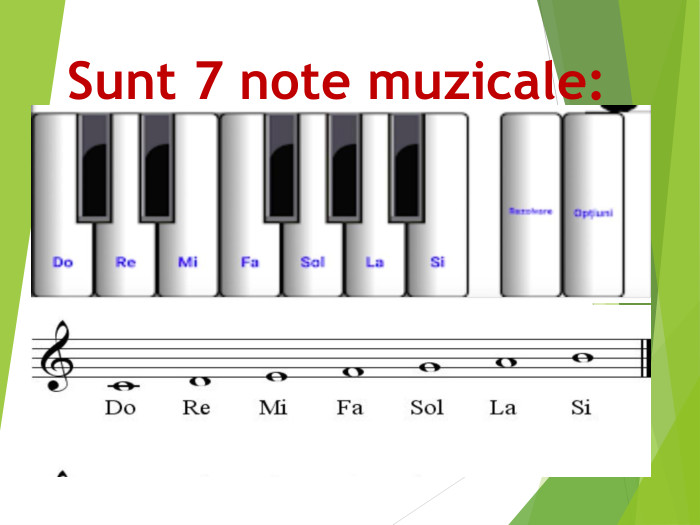 Sunt 7 note muzicale: