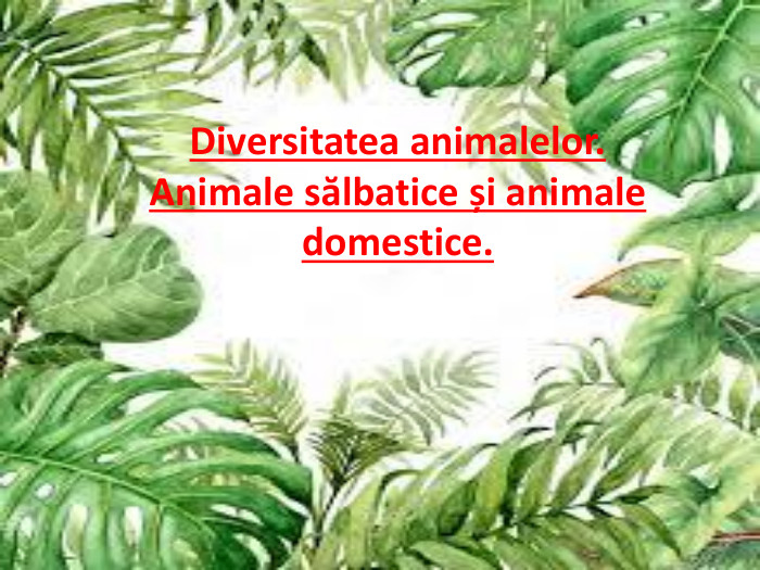 Diversitatea animalelor. Animale sălbatice și animale domestice.