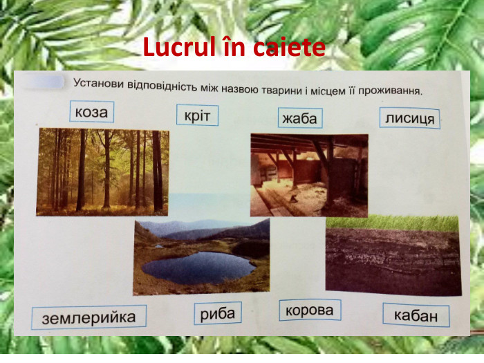 Lucrul în caiete
