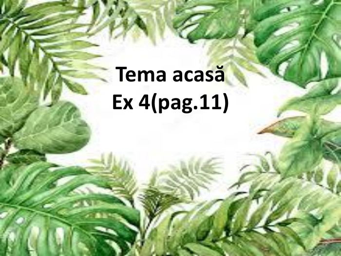 Tema acasăEx 4(pag.11)