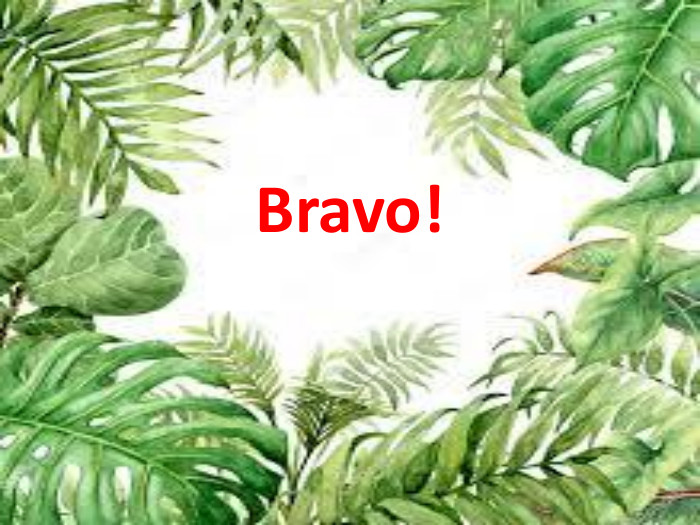 Bravo!