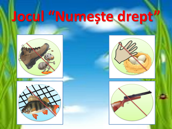Jocul “Numește drept”