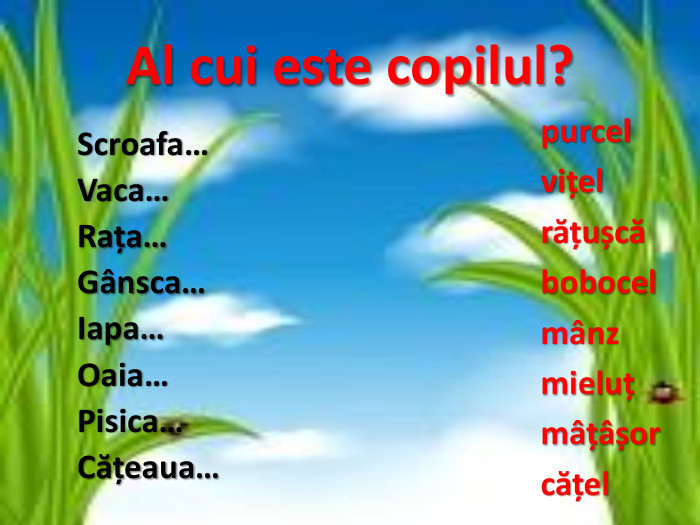 Al cui este copilul?Scroafa… Vaca… Rața… Gânsca… Iapa… Oaia… Pisica… Cățeaua… purcelvițelrățușcăbobocelmânzmieluțmâțâșorcățel
