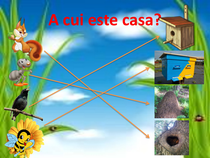 A cui este casa?