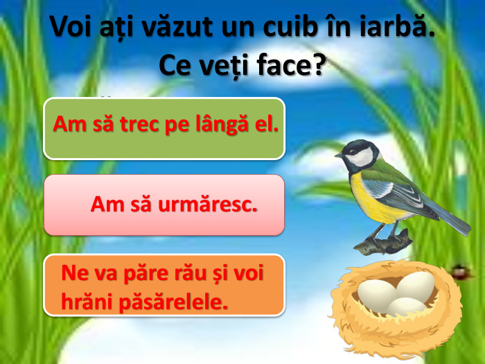 Voi ați văzut un cuib în iarbă. Ce veți face?Пройду повз нього. Am să trec pe lângă el. Am să urmăresc. Ne va păre rău și voi hrăni păsărelele.