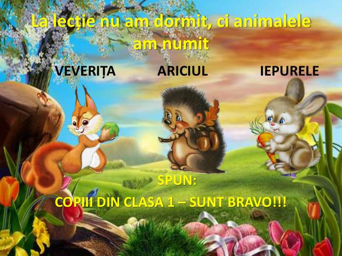 La lecție nu am dormit, ci animalele am numit	VEVERIȚA ARICIUL IEPURELE SPUN:	COPIII DIN CLASA 1 – SUNT BRAVO!!!