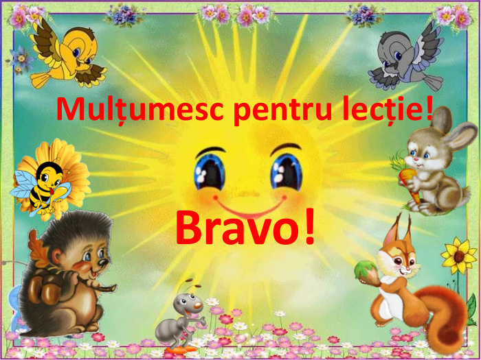 Mulțumesc pentru lecție! Bravo!