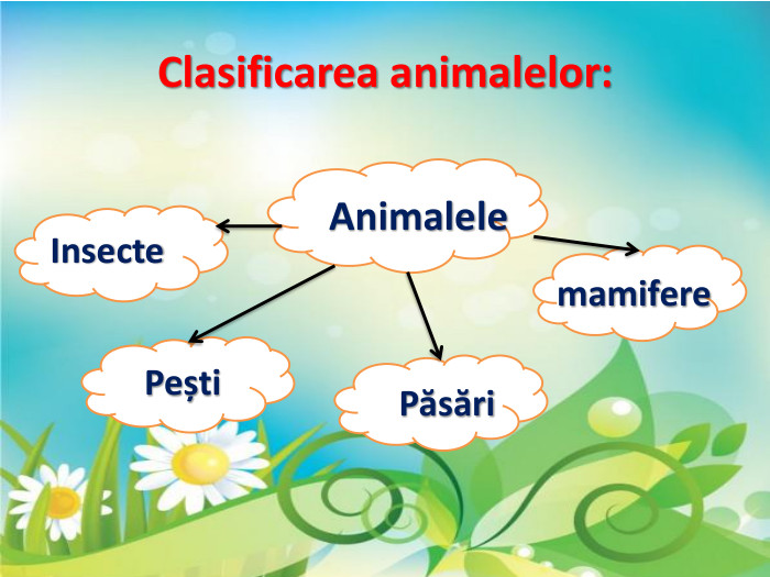 Clasificarea animalelor: Animalele. Insecte. Pești. Păsărimamifere