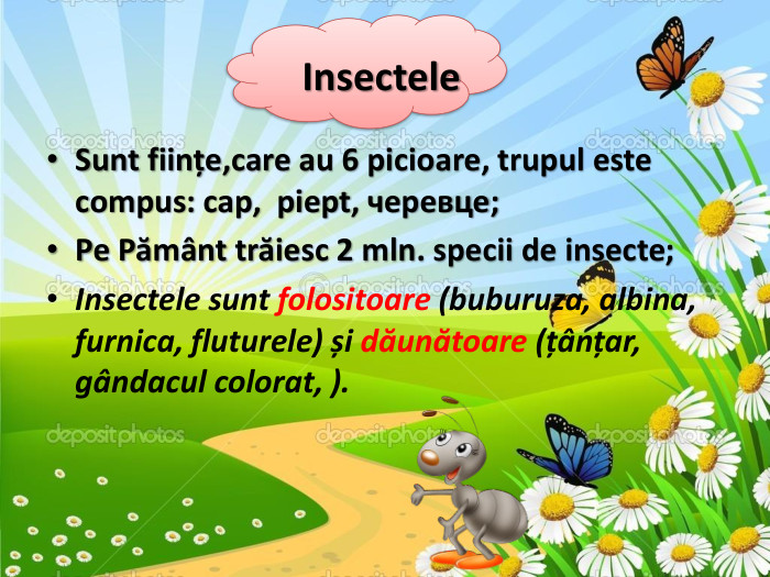 Sunt ființe,care au 6 picioare, trupul este compus: cap, piept, черевце;Pe Pământ trăiesc 2 mln. specii de insecte;Insectele sunt folositoare (buburuza, albina, furnica, fluturele) și dăunătoare (țânțar, gândacul colorat, ). Insectele