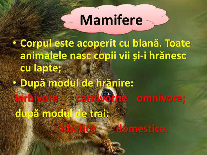 Corpul este acoperit cu blană. Toate animalele nasc copii vii și-i hrănesc cu lapte;După modul de hrănire: ierbivore carnivorne	omnivore; după modul de trai: sălbatice	domestice. Mamifere 