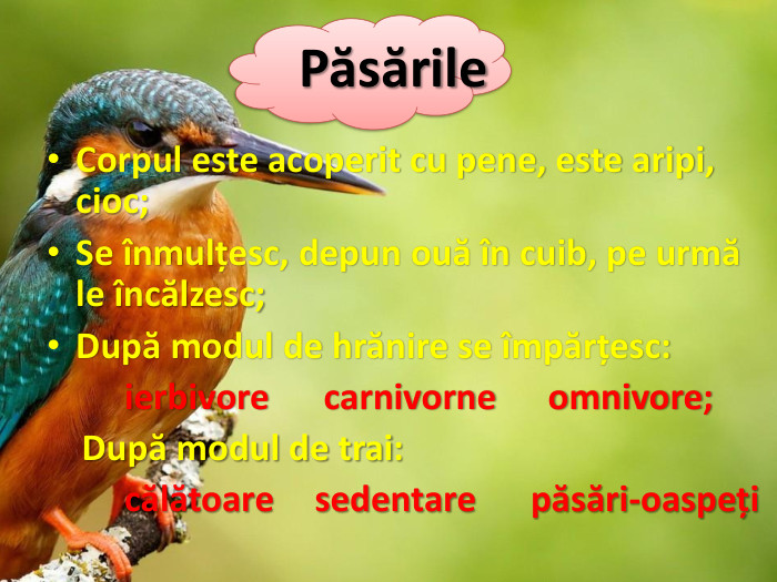Corpul este acoperit cu pene, este aripi, cioc;Se înmulțesc, depun ouă în cuib, pe urmă le încălzesc;După modul de hrănire se împărțesc:	ierbivore carnivorne omnivore; După modul de trai:	călătoare sedentare păsări-oaspeți Păsările