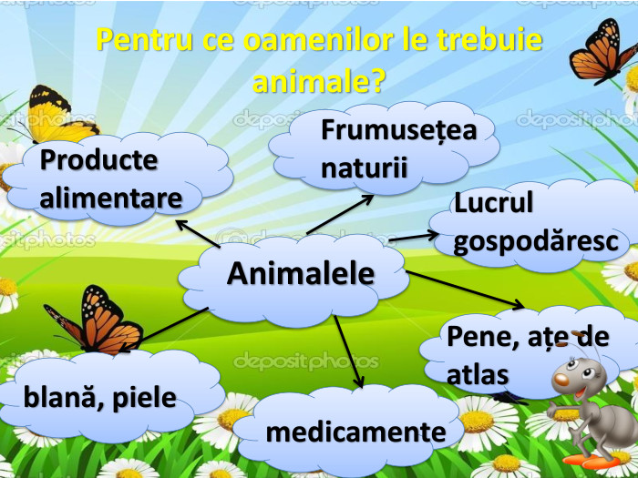 Pentru ce oamenilor le trebuie animale?Animalele. Producte alimentare. Frumusețea naturii. Lucrul gospodăresc. Pene, ațe de atlasblană, pielemedicamente