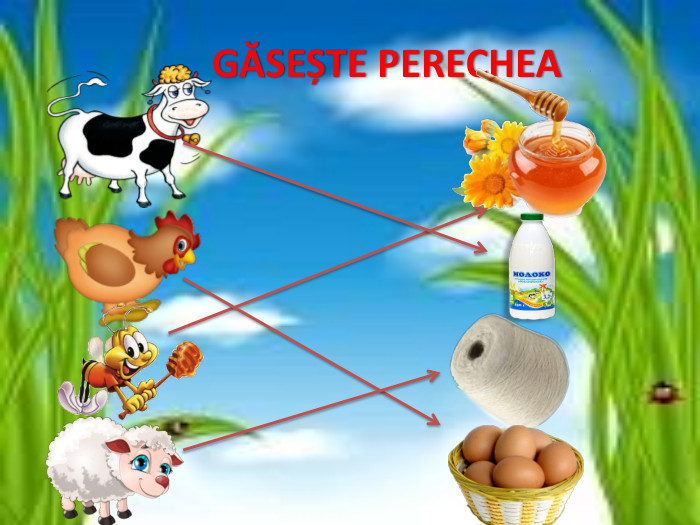  GĂSEȘTE PERECHEA