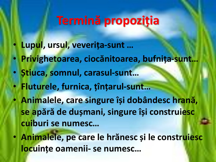 Termină propoziția. Lupul, ursul, veverița-sunt …Privighetoarea, ciocănitoarea, bufnița-sunt…Știuca, somnul, carasul-sunt…Fluturele, furnica, țînțarul-sunt…Animalele, care singure își dobândesc hrană, se apără de dușmani, singure își construiesc cuiburi se numesc…Animalele, pe care le hrănesc și le construiesc locuințe oamenii- se numesc…