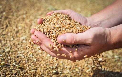 Єврокомісія змінила вартість мита на зернові культури — Агробізнес сьогодні
