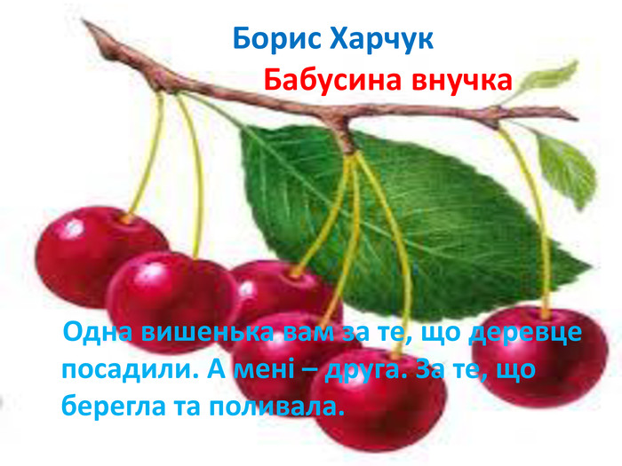  Борис Харчук Бабусина внучка Одна вишенька вам за те, що деревце посадили. А мені – друга. За те, що берегла та поливала.