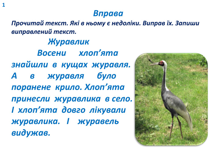 Вправа. Прочитай текст. Які в ньому є недоліки. Виправ їх. Запиши виправлений текст. Журавлик Восени хлоп’ята знайшли в кущах журавля. А в журавля було поранене крило. Хлоп’ята принесли журавлика в село. І хлоп’ята довго лікували журавлика. І журавель видужав.1