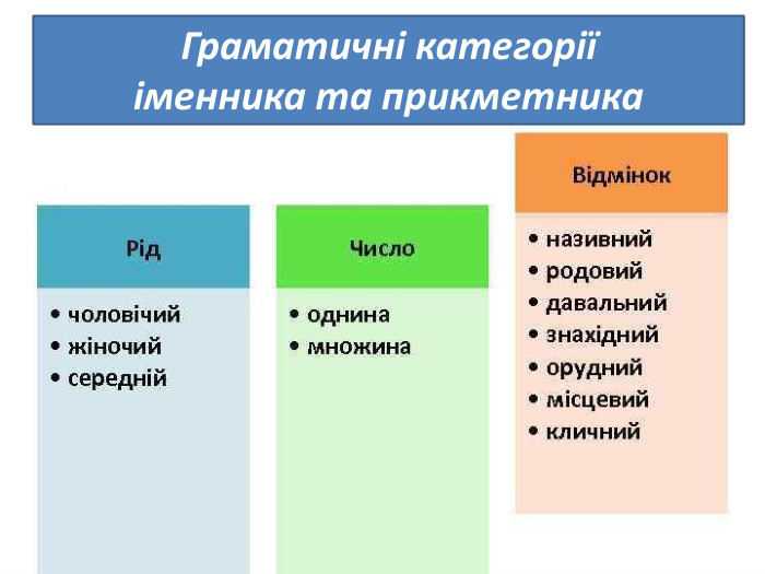 Граматичні категорії іменника та прикметника