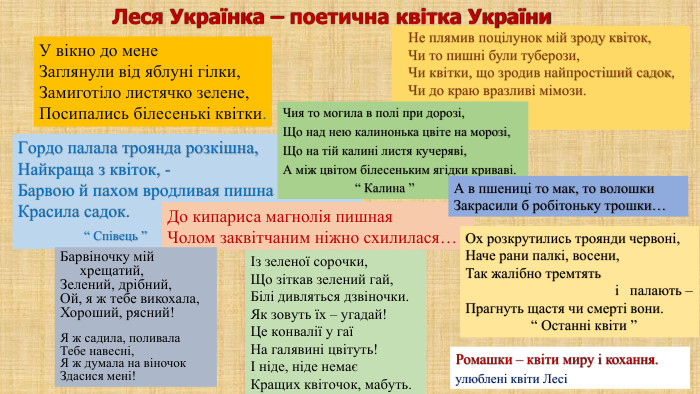  Не плямив поцілунок мій зроду квіток, Чи то пишні були туберози, Чи квітки, що зродив найпростіший садок, Чи до краю вразливі мімози. Гордо палала троянда розкішна,Найкраща з квіток, - Барвою й пахом вродливая пишна. Красила садок. “ Співець ”Чия то могила в полі при дорозі,Що над нею калинонька цвіте на морозі,Що на тій калині листя кучеряві,А між цвітом білесеньким ягідки криваві. “ Калина ”У вікно до мене. Заглянули від яблуні гілки,Замиготіло листячко зелене,Посипались білесенькі квітки.Із зеленої сорочки,Що зіткав зелений гай,Білі дивляться дзвіночки. Як зовуть їх – угадай!Це конвалії у гаїНа галявині цвітуть!І ніде, ніде немаєКращих квіточок, мабуть. До кипариса магнолія пишная. Чолом заквітчаним ніжно схилилася…А в пшениці то мак, то волошки. Закрасили б робітоньку трошки…Барвіночку мій хрещатий,Зелений, дрібний,Ой, я ж тебе викохала,Хороший, рясний!Я ж садила, поливала. Тебе навесні,Я ж думала на віночок. Здасися мені!Ромашки – квіти миру і кохання.улюблені квіти ЛесіЛеся Українка – поетична квітка України. Ох розкрутились троянди червоні,Наче рани палкі, восени,Так жалібно тремтять і палають – Прагнуть щастя чи смерті вони. “ Останні квіти ”
