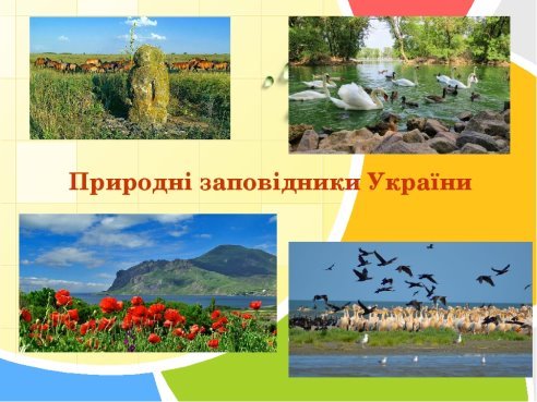 Презентація на тему : "Природні заповідники України"
