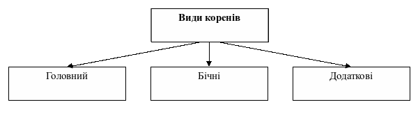 DrawObject1