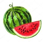 C:\Users\User\Desktop\нова 2018\конспекти НУШ\НАВЧАННЯ ГРАМОТИ\буква к\depositphotos_72144527-stock-illustration-picture-of-watermelon.jpg