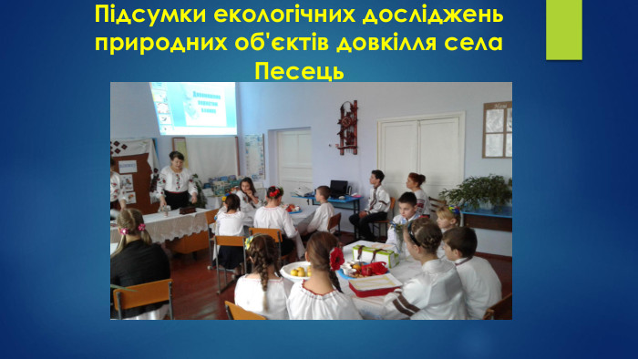 Підсумки екологічних досліджень природних об'єктів довкілля села Песець 
