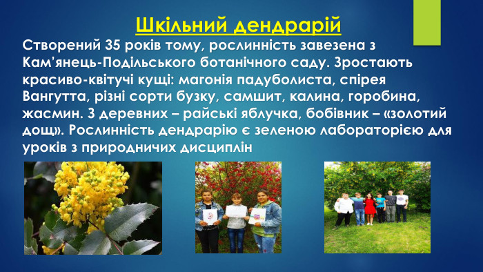 Шкільний дендрарій. Створений 35 років тому, рослинність завезена з Кам’янець-Подільського ботанічного саду. Зростають красиво-квітучі кущі: магонія падуболиста, спірея Вангутта, різні сорти бузку, самшит, калина, горобина, жасмин. З деревних – райські яблучка, бобівник – «золотий дощ». Рослинність дендрарію є зеленою лабораторією для уроків з природничих дисциплін