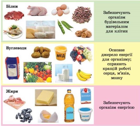 http://schooled.ru/textbook/health/6klas_2/6klas_2.files/image057.jpg