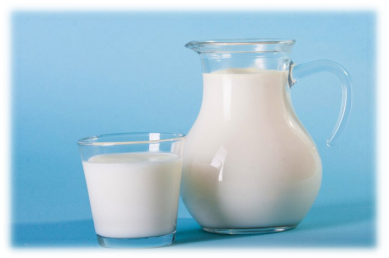 Господарства аграріїв скорочують виробництво молока — АГРОПОЛІТ