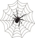 Картинки по запросу "павук на павутинні картинка для дітей"