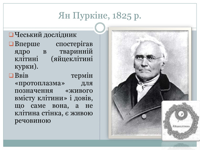 Ян Пуркіне, 1825 р. Чеський дослідник. Вперше спостерігав ядро в тваринній клітині (яйцеклітині курки). Ввів термін «протоплазма» для позначення «живого вмісту клітини» і довів, що саме вона, а не клітина стінка, є живою речовиною