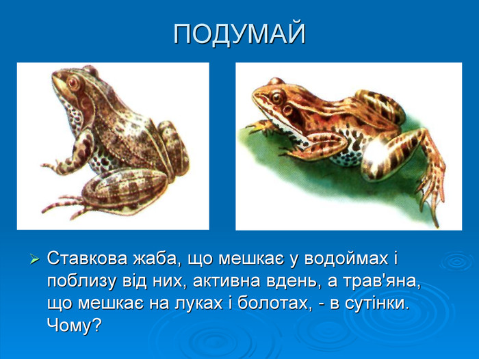 ПОДУМАЙСтавкова жаба, що мешкає у водоймах і поблизу від них, активна вдень, а трав'яна, що мешкає на луках і болотах, - в сутінки. Чому? 