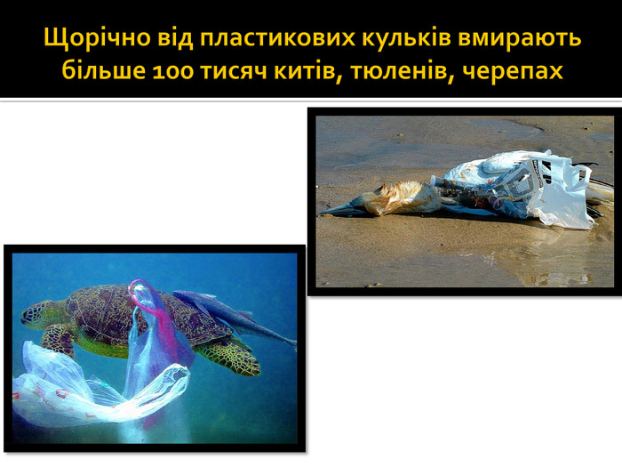 Щорічно від пластикових кульків вмирають більше 100 тисяч китів, тюленів, черепах
