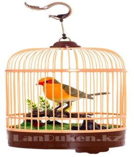 Интерактивная поющая птичка в клетке HL 507 AY (музыкальная игрушка) купить  в интернет-магазине LanDuken.kz