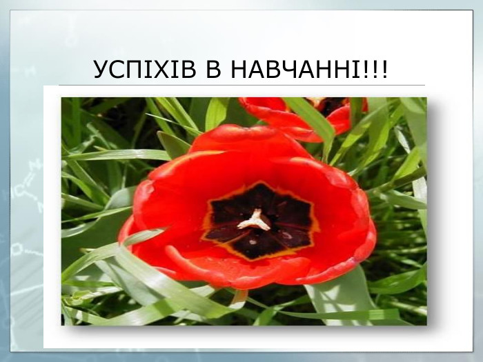 УСПІХІВ В НАВЧАННІ!!!