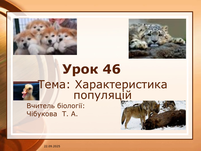 07.04.2025 Урок 46 Тема: Характеристика популяцій. Вчитель біології: Чібукова Т. А.