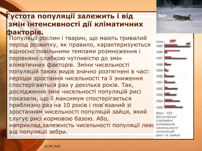 Густота популяції залежить і від змін інтенсивності дії кліматичних факторів. Популяції рослин і тварин, що мають тривалий період розвитку, як правило, характеризуються відносно повільними темпами розмноження і порівняно слабкою чутливістю до змін кліматичних факторів. Зміни чисельності популяцій таких видів значно розтягнені в часі: періоди зростання чисельності та її зниження спостерігаються раз у декілька років. Так, дослідження змін чисельності популяцій рисі показали, що її максимум спостерігається приблизно раз на 10 років і пов'язаний зі зростанням чисельності популяцій зайця, який слугує рисі кормовою базою. Або, наприклад,залежність чисельності популяції лева від популяціі зебри.07.04.2025