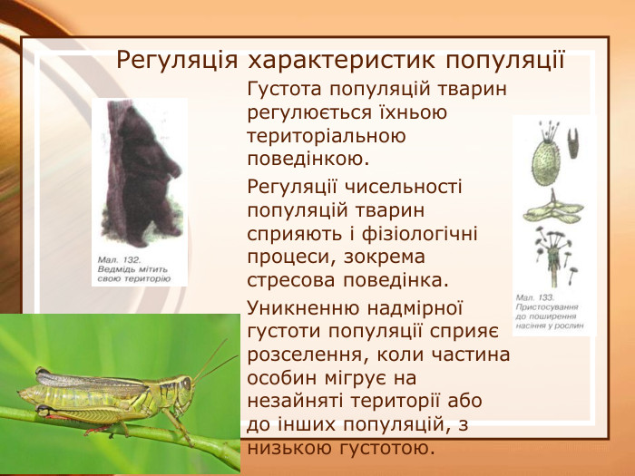 Регуляція характеристик популяціїГустота популяцій тварин регулюється їхньою територіальною поведінкою. Регуляції чисельності популяцій тварин сприяють і фізіологічні процеси, зокрема стресова поведінка. Уникненню надмірної густоти популяції сприяє розселення, коли частина особин мігрує на незайняті території або до інших популяцій, з низькою густотою. 07.04.2025