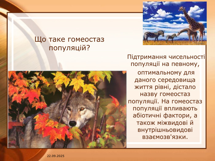 Що таке гомеостаз популяцій? Підтримання чисельності популяції на певному, оптимальному для даного середовища життя рівні, дістало назву гомеостаз популяції. На гомеостаз популяції впливають абіотичні фактори, а також міжвидові й внутрішньовидові взаємозв'язки. 07.04.2025