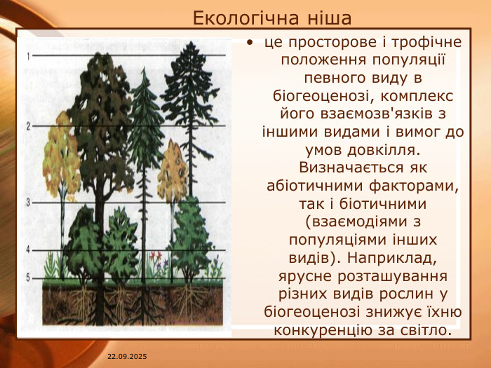 Екологічна ніша це просторове і трофічне положення популяції певного виду в біогеоценозі, комплекс його взаємозв'язків з іншими видами і вимог до умов довкілля. Визначається як абіотичними факторами, так і біотичними (взаємодіями з популяціями інших видів). Наприклад, ярусне розташування різних видів рослин у біогеоценозі знижує їхню конкуренцію за світло.07.04.2025