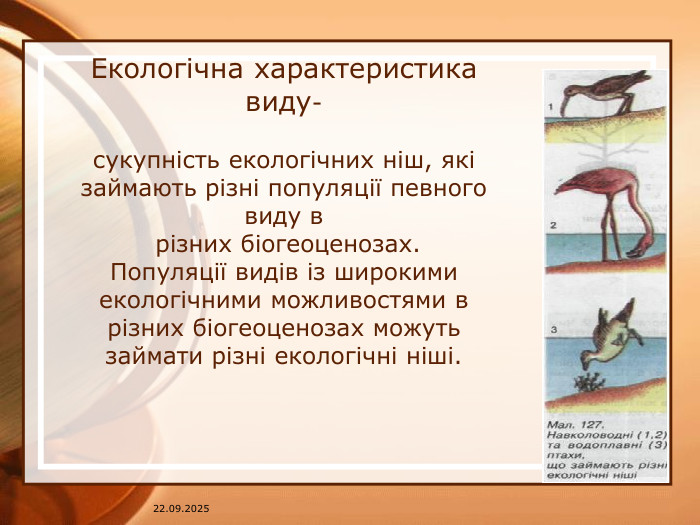 Екологічна характеристика виду-сукупність екологічних ніш, які займають різні популяції певного виду в різних біогеоценозах. Популяції видів із широкими екологічними можливостями в різних біогеоценозах можуть займати різні екологічні ніші. 07.04.2025