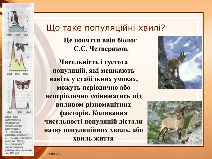 07.04.2025 Що таке популяційні хвилі?Це поняття ввів біолог С. С. Четвериков. Чисельність і густота популяцій, які мешкають навіть у стабільних умовах, можуть періодично або неперіодично змінюватись під впливом різноманітних факторів. Коливання чисельності популяцій дістали назву популяційних хвиль, або хвиль життя