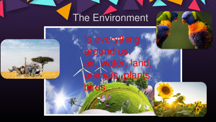  The Environment. Is everything around us:air, water, land, animals, plants, birds.