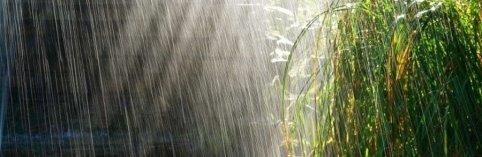 У Полтаві обіцяють сильний дощ | Новини