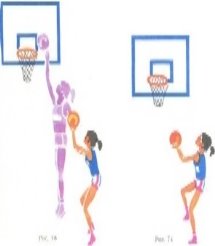http://www.offsport.ru/basketball/dlya-detey/img/73-74.jpg